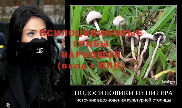 гидра Бугульма