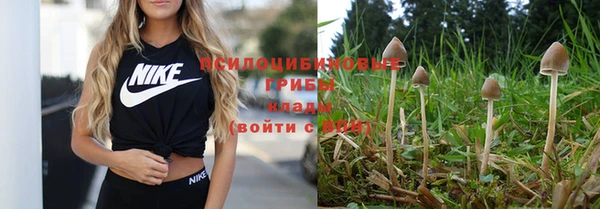 spice Бронницы