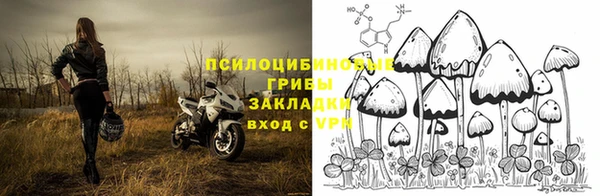 наркотики Бородино